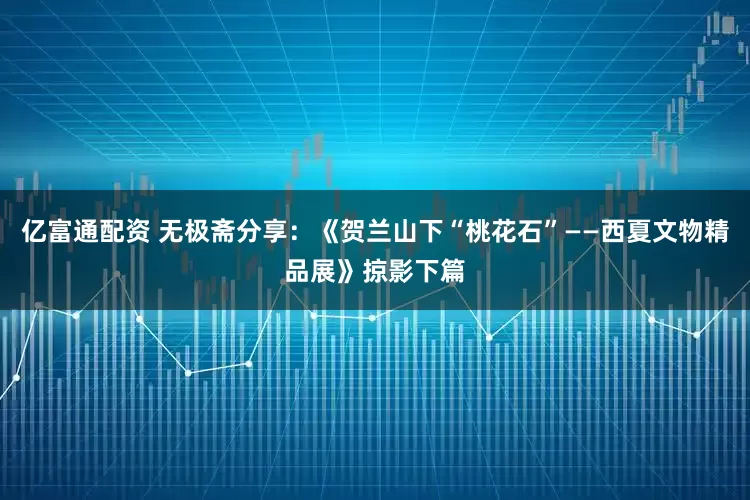 亿富通配资 无极斋分享：《贺兰山下“桃花石”——西夏文物精品展》掠影下篇